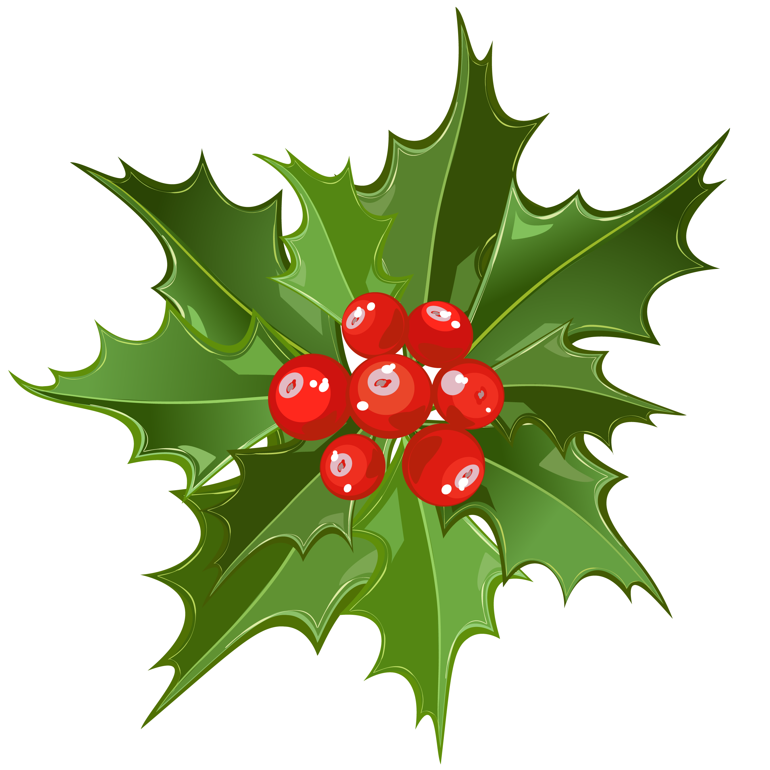 Christmas Mistletoe PNG Art