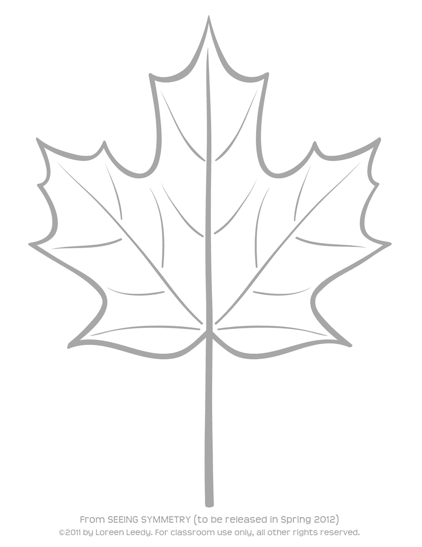 Simple Maple Leaf Drawing - Gallery