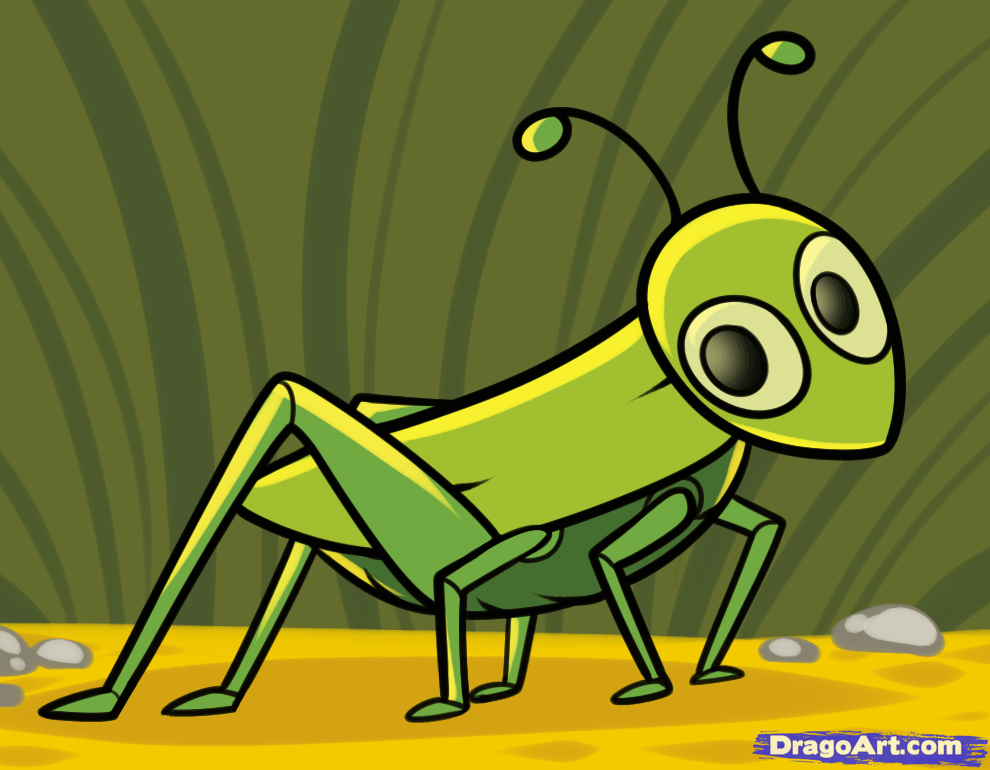 How to Draw a Grasshopper for Kids, Step by Step, Animals For Kids ...