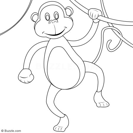 monkey-hanging-from-tree-step- ...