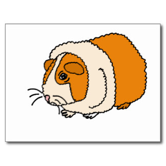 Cartoon Guinea Pig - Cliparts.co