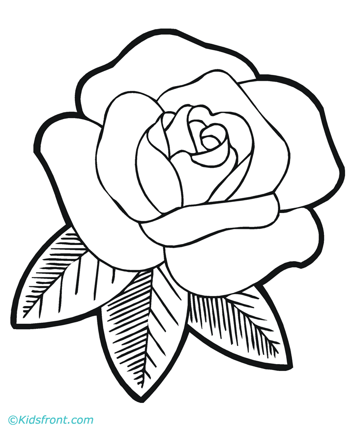 Line Drawing Of A Rose - Cliparts.co