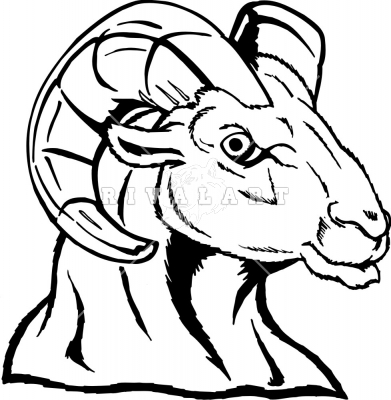 Ram Head Image - Ram Pictures - Mascots - PhotographsImages.