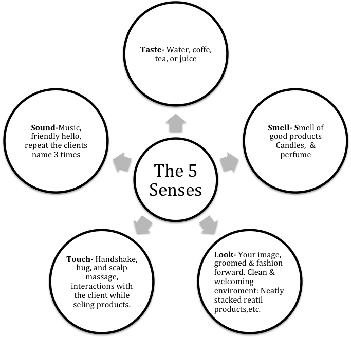 The 5 senses | Bella's Secret AcademyBella's Secret Academy