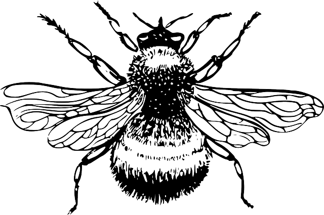 SILHOUETTE, CARTOON, BEE, BUMBLEBEE, INSECT, BUMBLE - Public ...