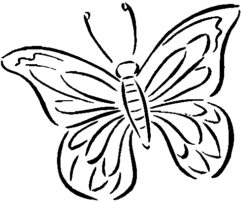 elmo coloring sheets: Butterfly Coloring Page