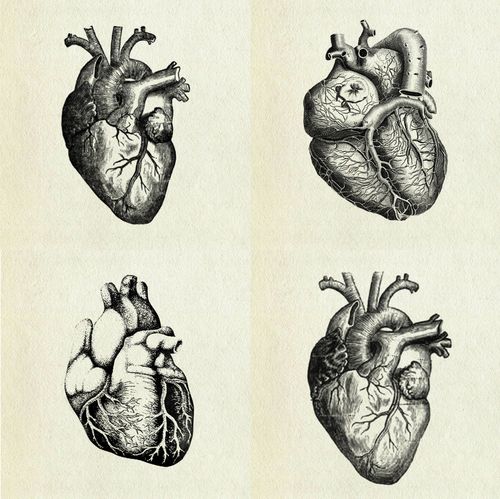 more beautiful hearts | Lenovo Computers | Pinterest