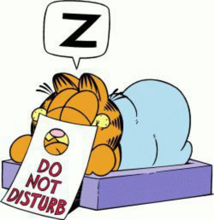 Garfield - Cat Humor at it's Best - Gotta Luv him on Pinterest