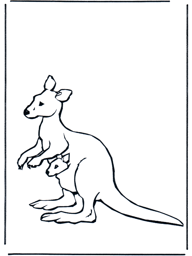 Kangaroo Colouring Pages for Kids | Coloring