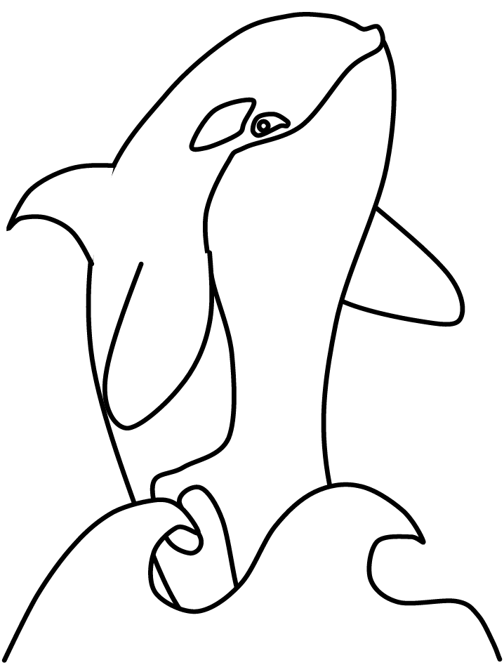Orca Whale Coloring Pages Printable