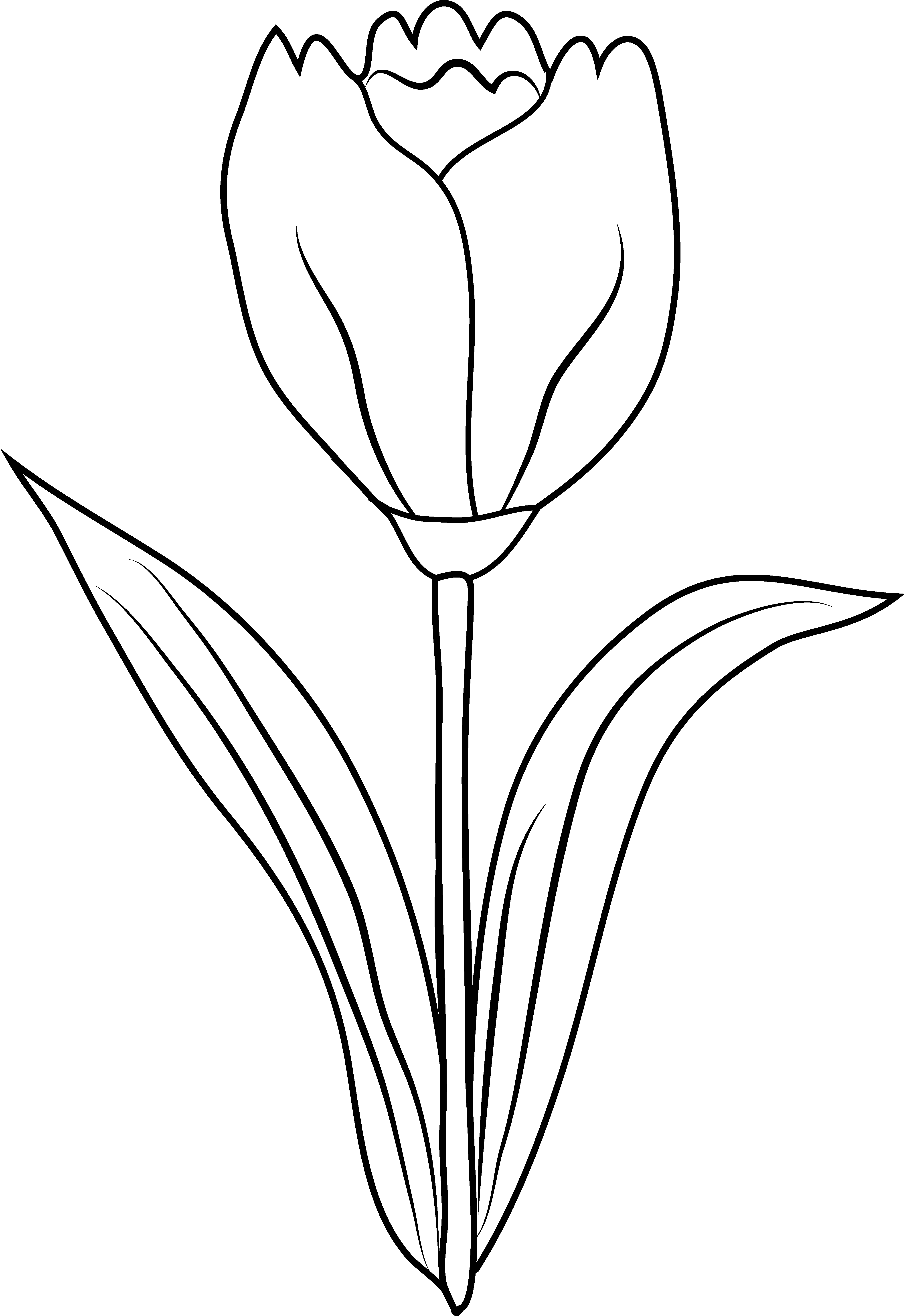 Clipart Flower Black And White - Cliparts.co