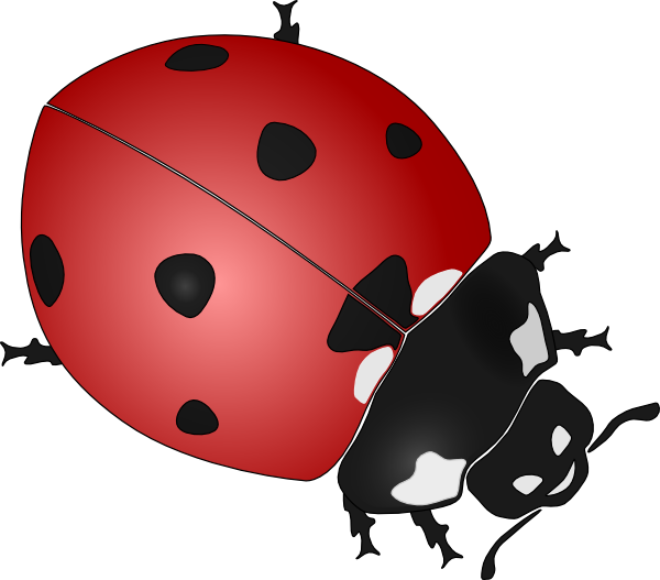 Ladybug 4 clip art - vector clip art online, royalty free & public ...