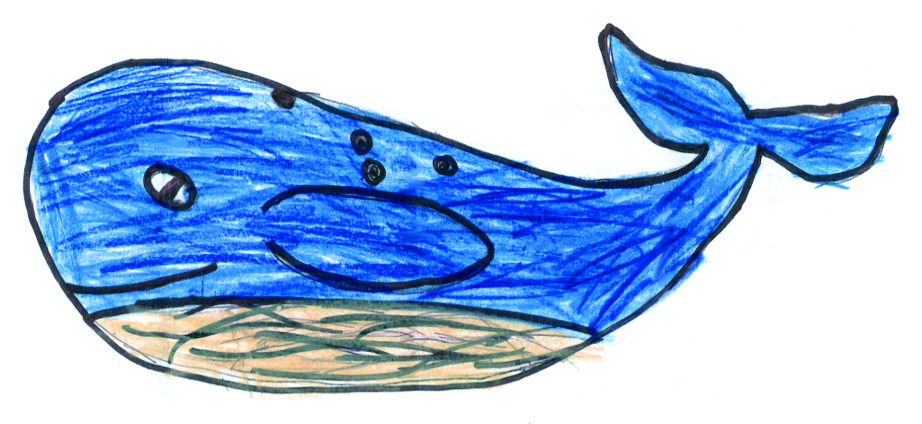 Kids Art Whales_Maggie | The Wild World of Zoobooks
