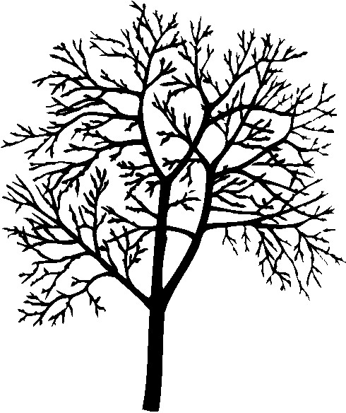 Line Art Trees - Cliparts.co