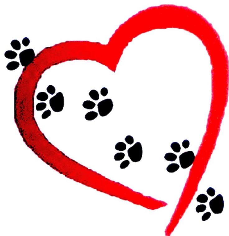 Paw prints on my heart | Bountiful Bobcats | Pinterest