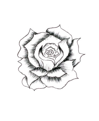 rose and heart drawings - Домашние растения. Цветы.