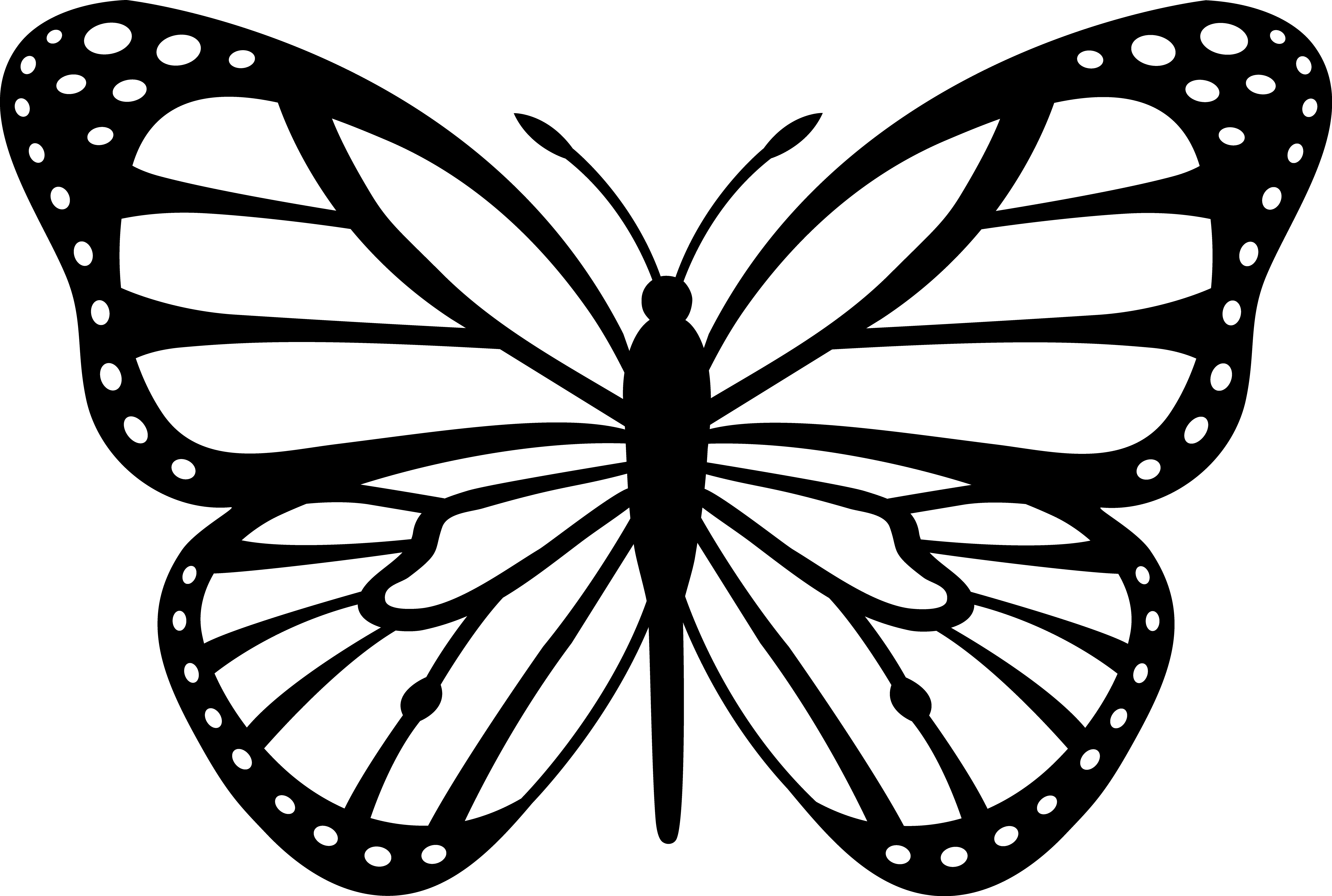 Black and White Monarch Butterfly - Free Clip Art