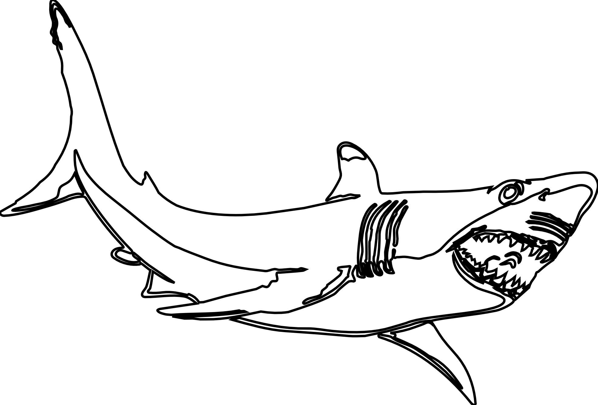 Great White Shark Clipart Black And White | Clipart Panda - Free ...