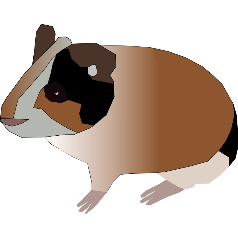 Clipart - guinea pig