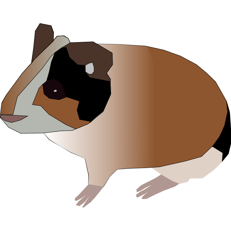 Cartoon Guinea Pig Pictures - Cliparts.co