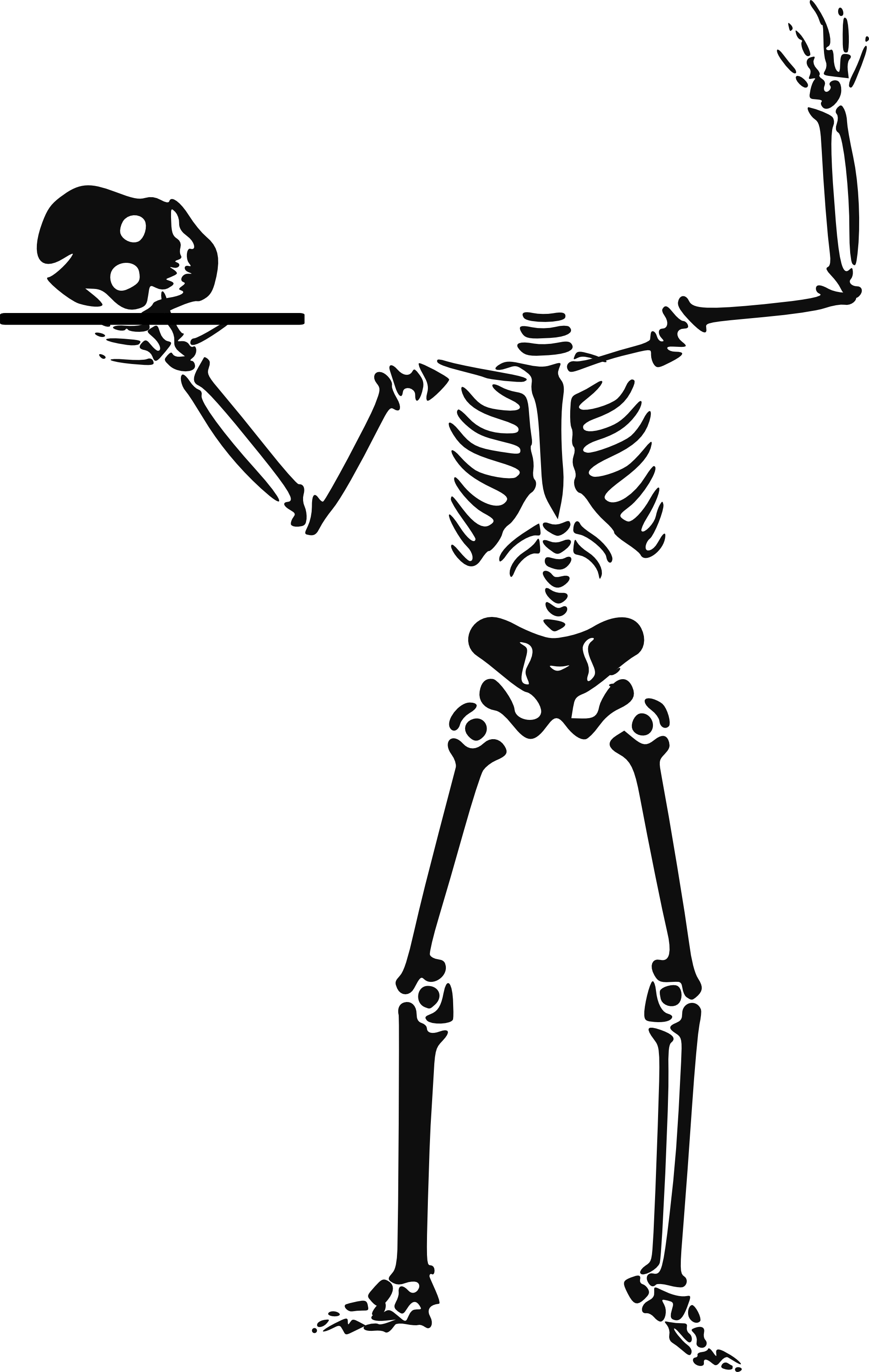 Halloween Skeleton Clipart | Clipart Panda - Free Clipart Images