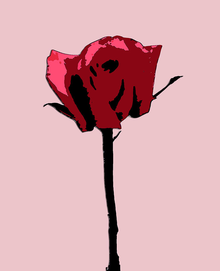 A Single Rose by Karen Nicholson - A Single Rose Digital Art - A ...