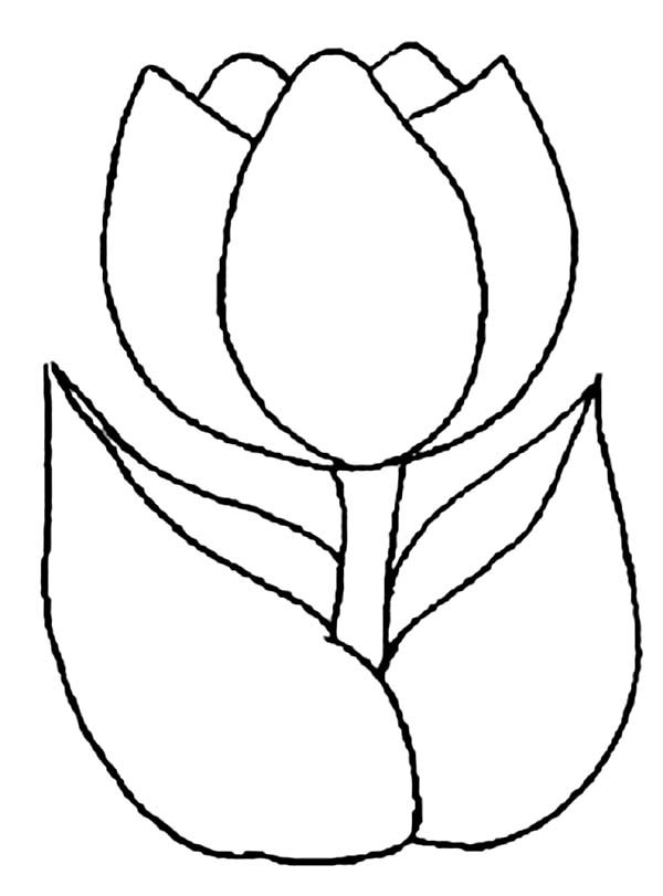 A Simple Drawing of Peony Tulip Coloring Page | Kids Play Color