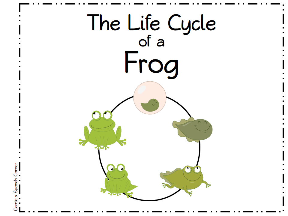 Carrie's Speech Corner: Life Cycle of a Frog