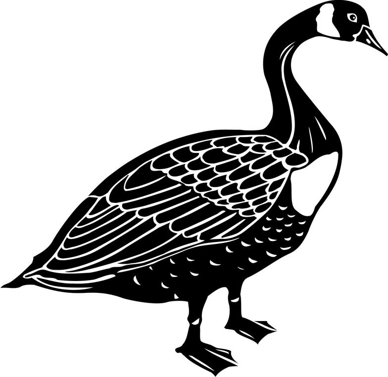 clipart of a goose - photo #40