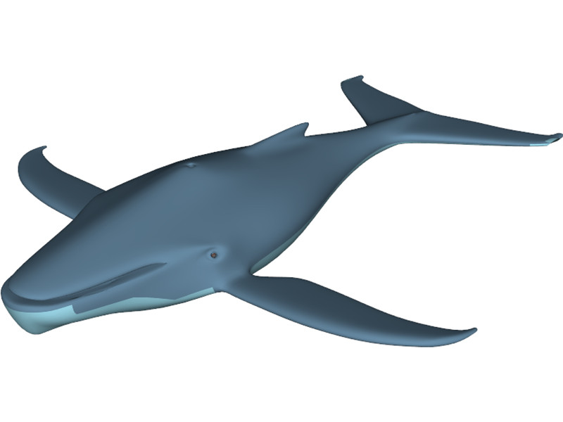 Whale Funny 3D Model Download | 3D CAD Browser