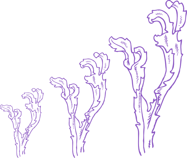 Triple Seaweed clip art - vector clip art online, royalty free ...