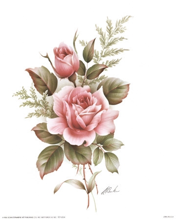 Rose Pencil Drawings, Rose Drawings, Drawing Of A Rose