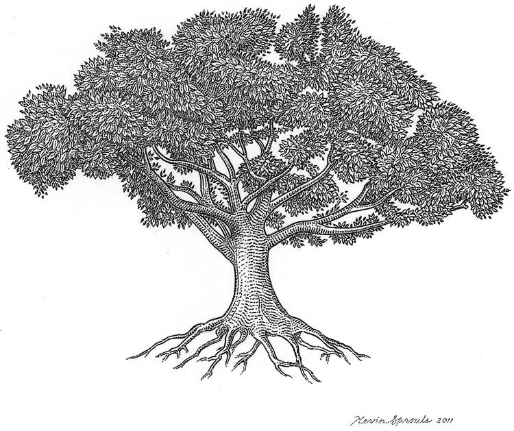 Tree Drawings - Cliparts.co