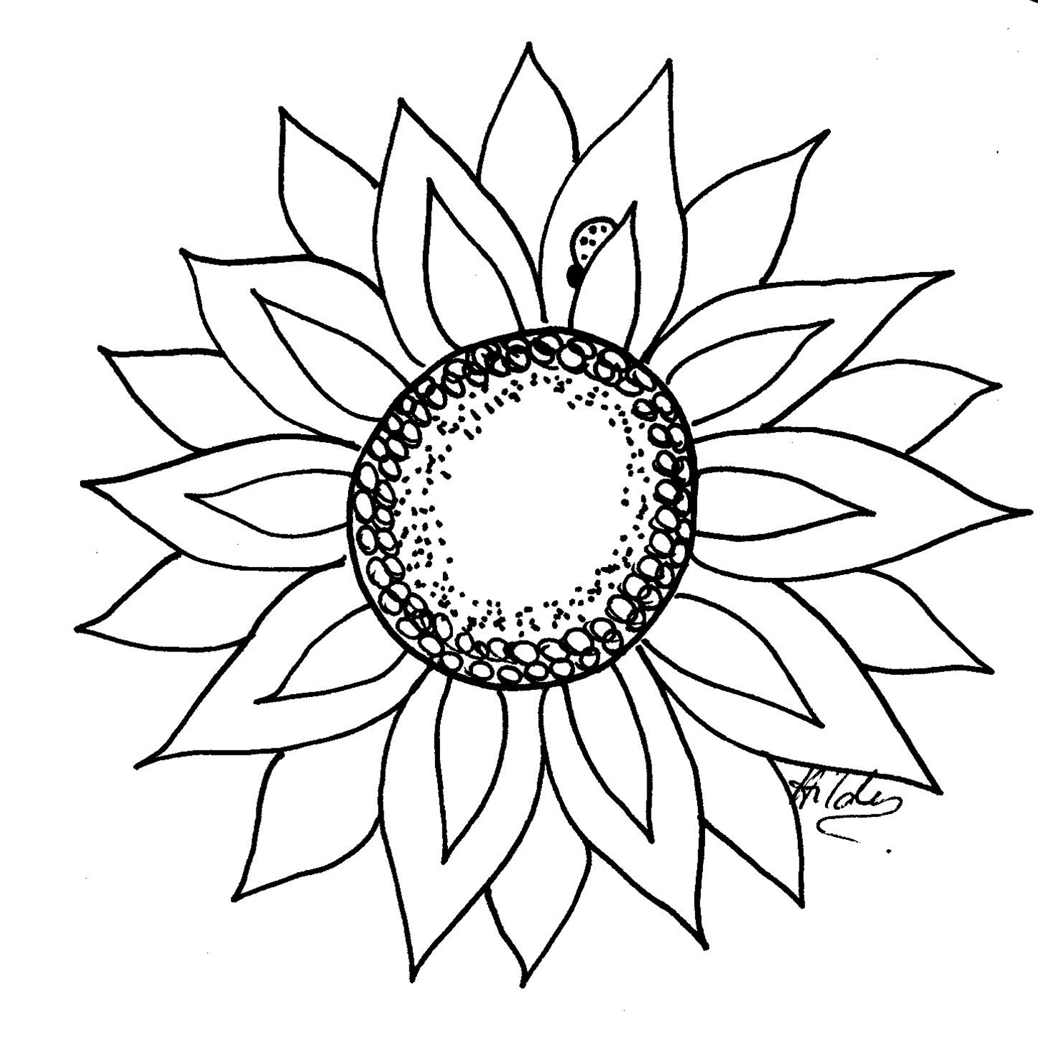 Sunflower Line Art - Cliparts.co