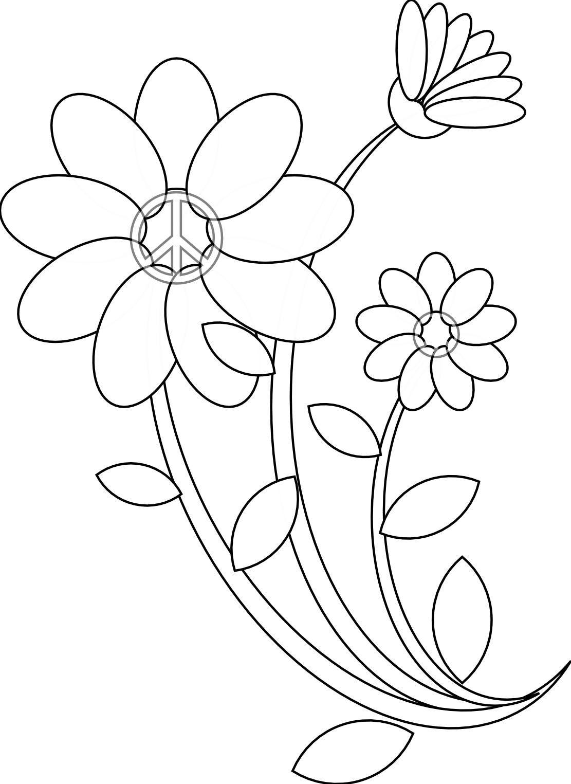 Images Of Line Drawing Of Flowers - ClipArt Best