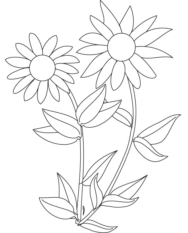 Sunflower Coloring Pages, Sunflower coloring pages for kids aims ...