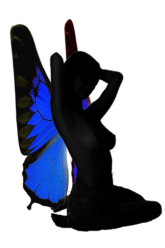 Fairy Silhouette 29-6-12 | Flickr - Photo Sharing!