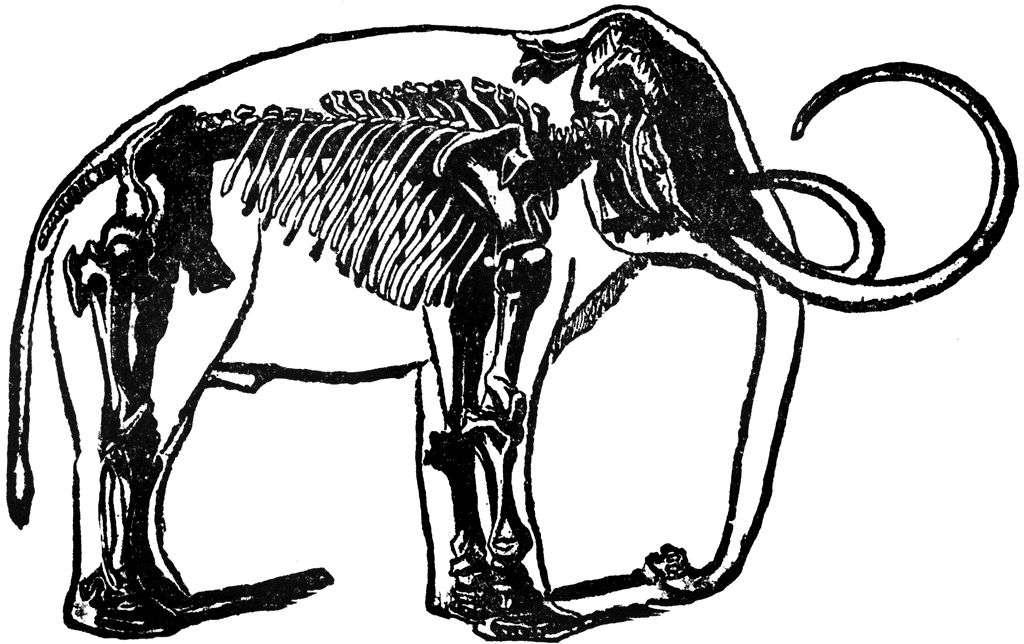 Skeleton of the Mammoth | ClipArt ETC