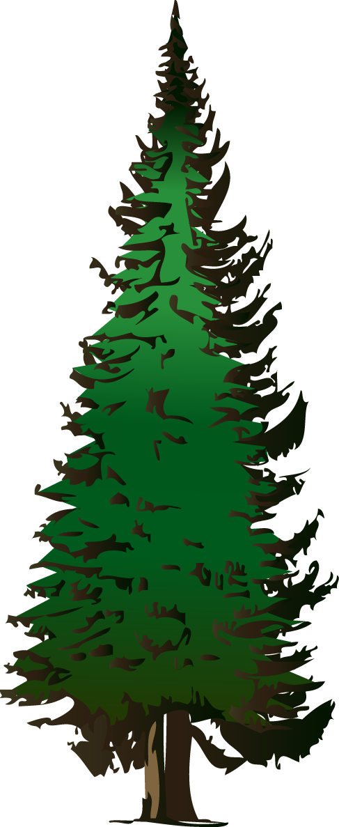 Image - Evergreen-Tree.png - The Adventure Time Wiki. Mathematical!