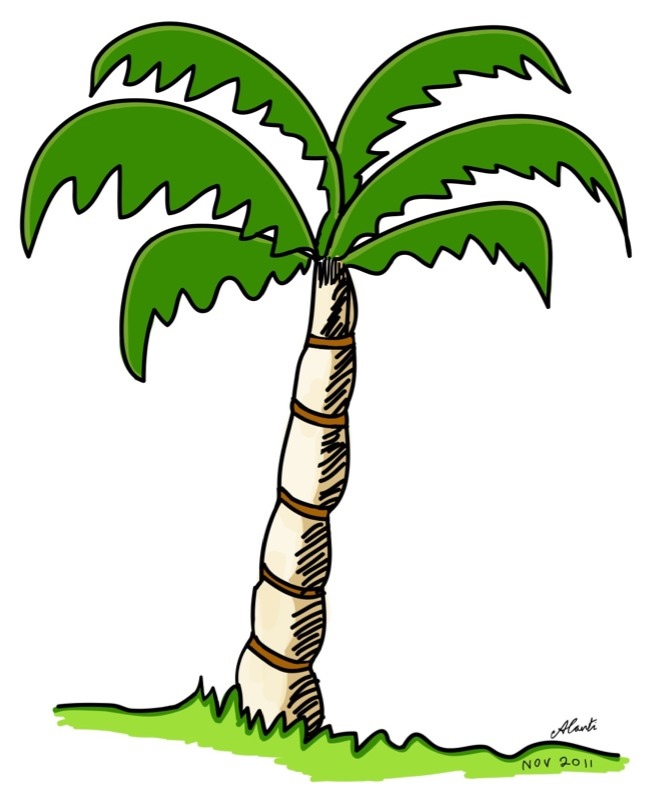 Palm Trees Drawings - Cliparts.co