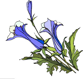 All Cliparts: Plant Clipart