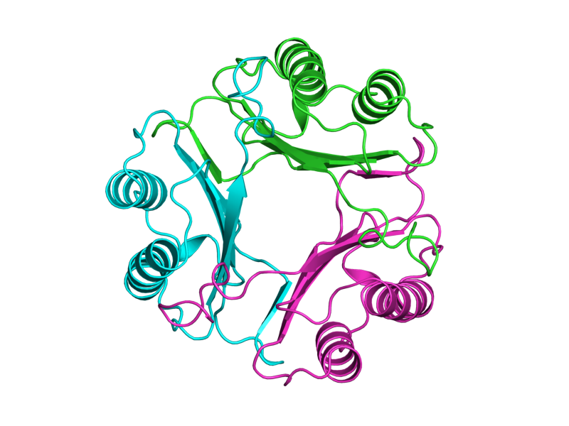 PDBeView - PDB entry 1mff