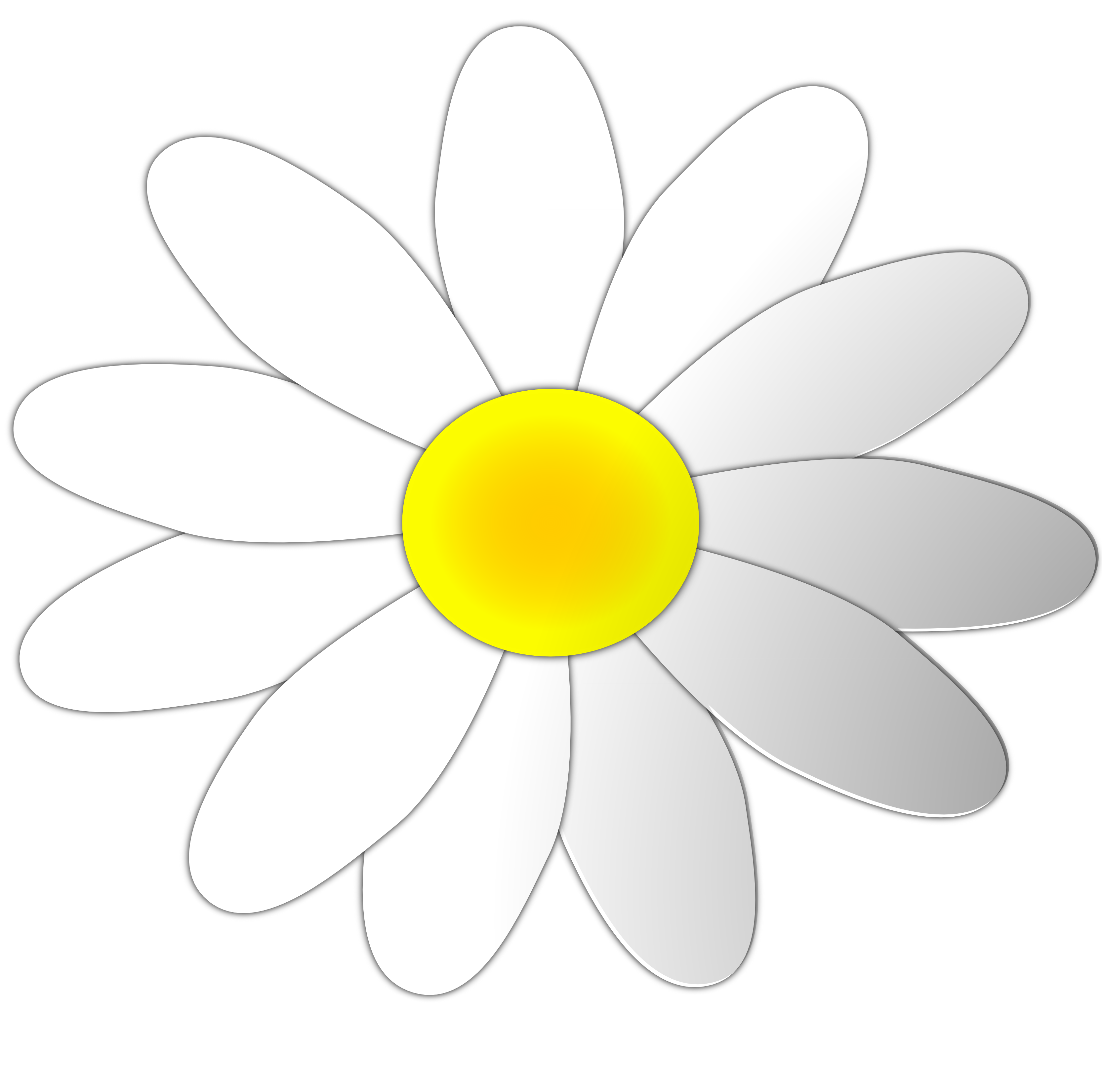 Flowers For > Yellow Daisy Flower Clip Art