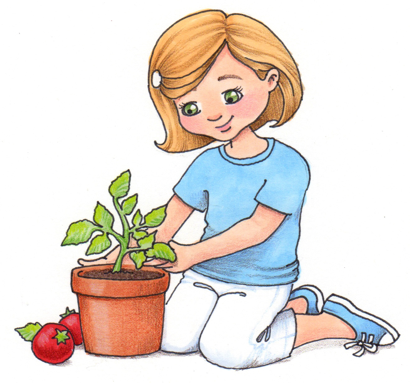 Images For > Seeds Growing Clipart