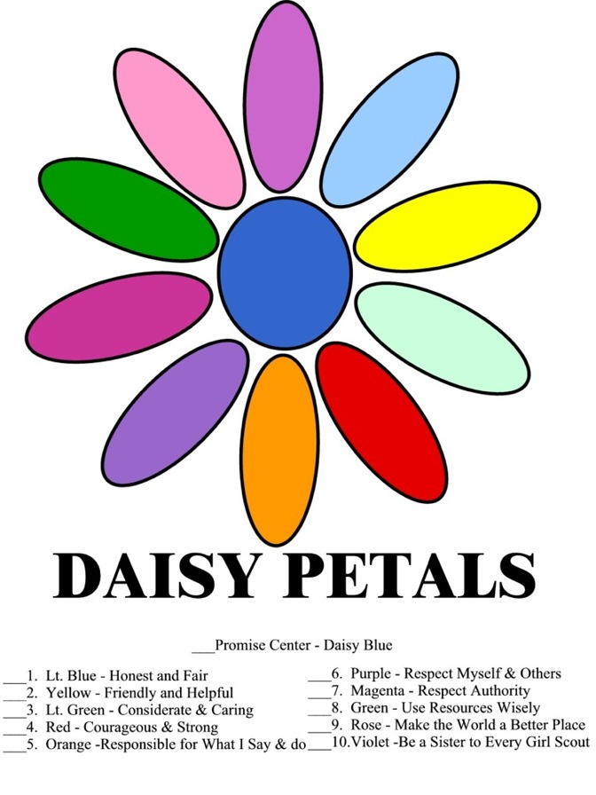 Daisy Petals in Color