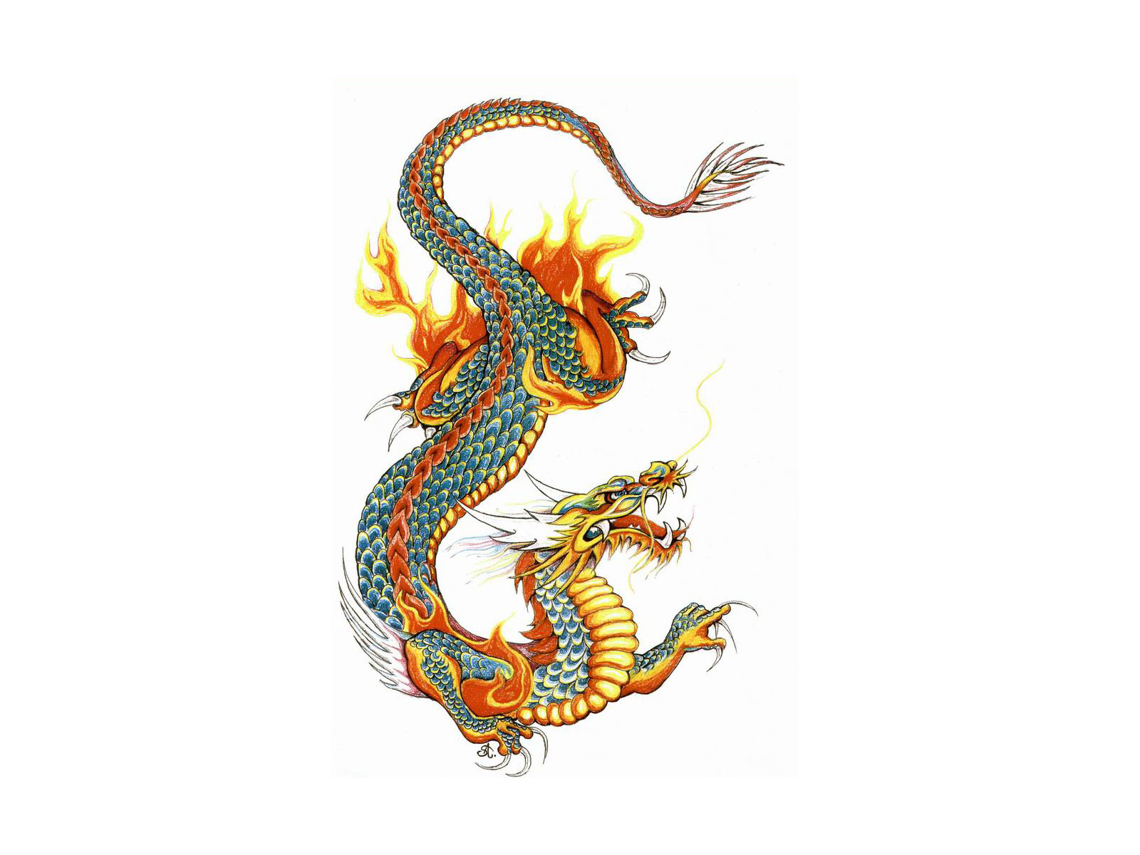 Free designs - Japanese colored dragon tattoo wallpaper