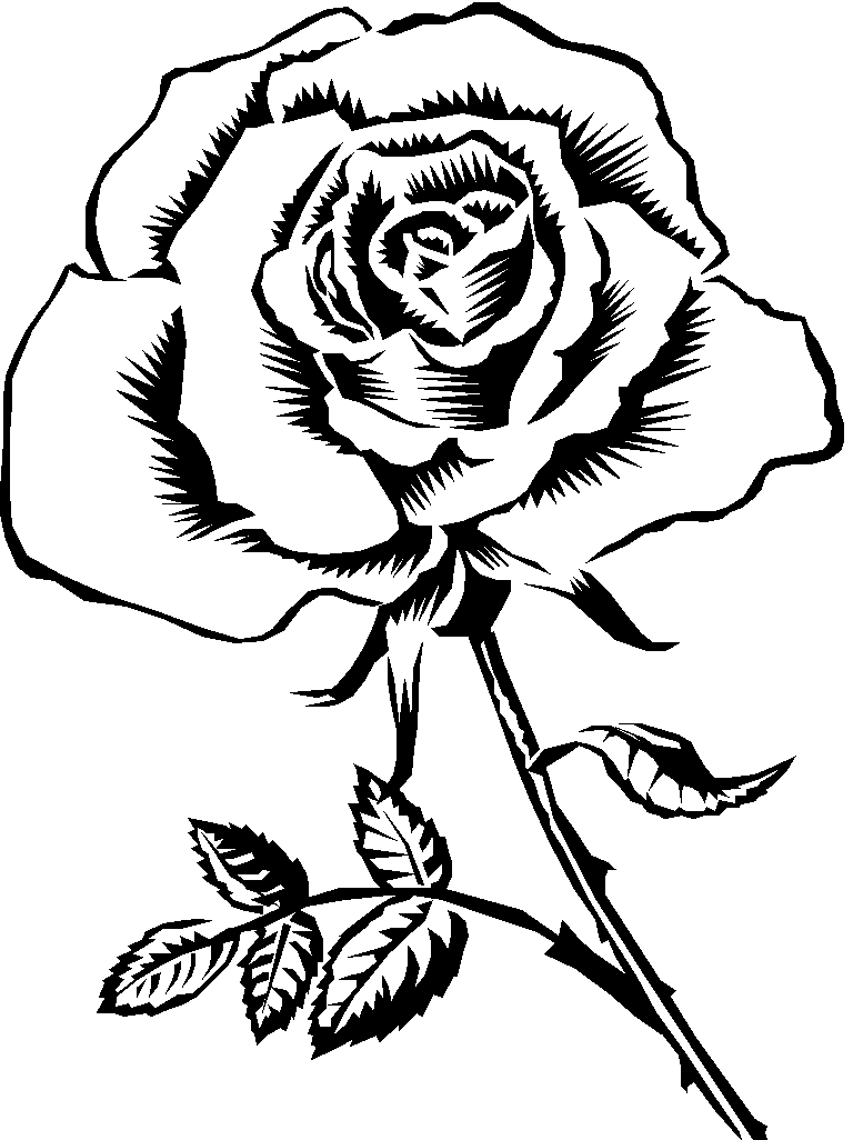 Line Drawing Rose - ClipArt Best