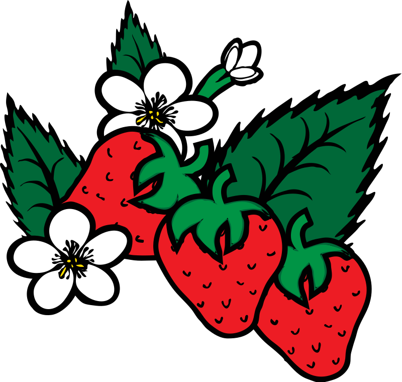 Berries Clip Art Download