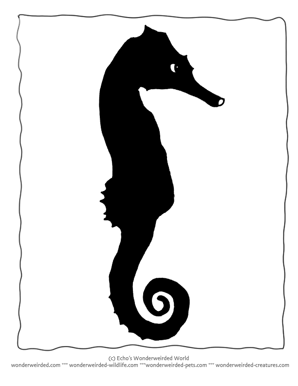 Seahorse Silhouette, Silhouettes Templates for Ocean Themed ...