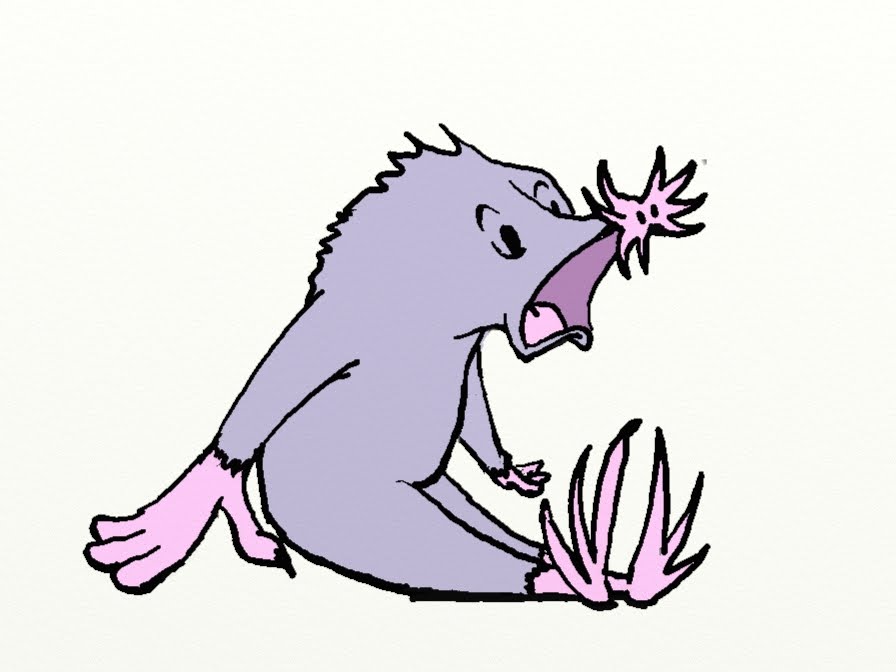 Tail o' the Rat: Star Nosed Mole